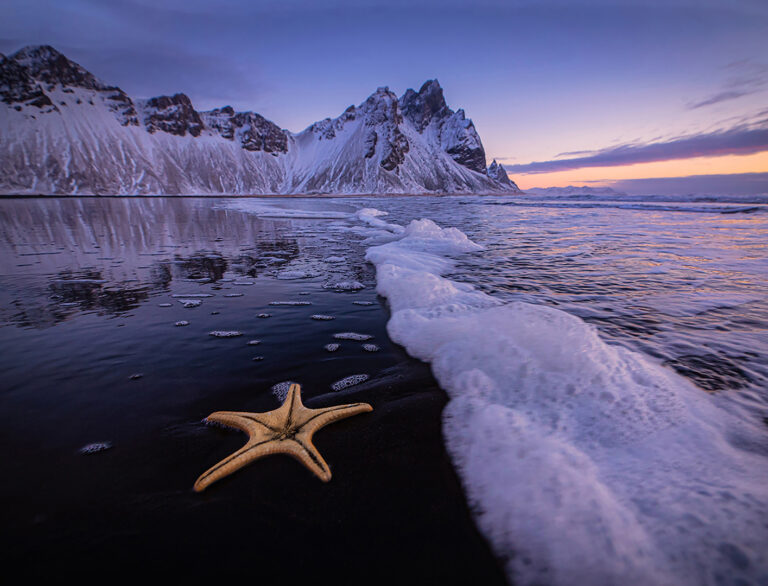 Mohammad Awadh - The-star